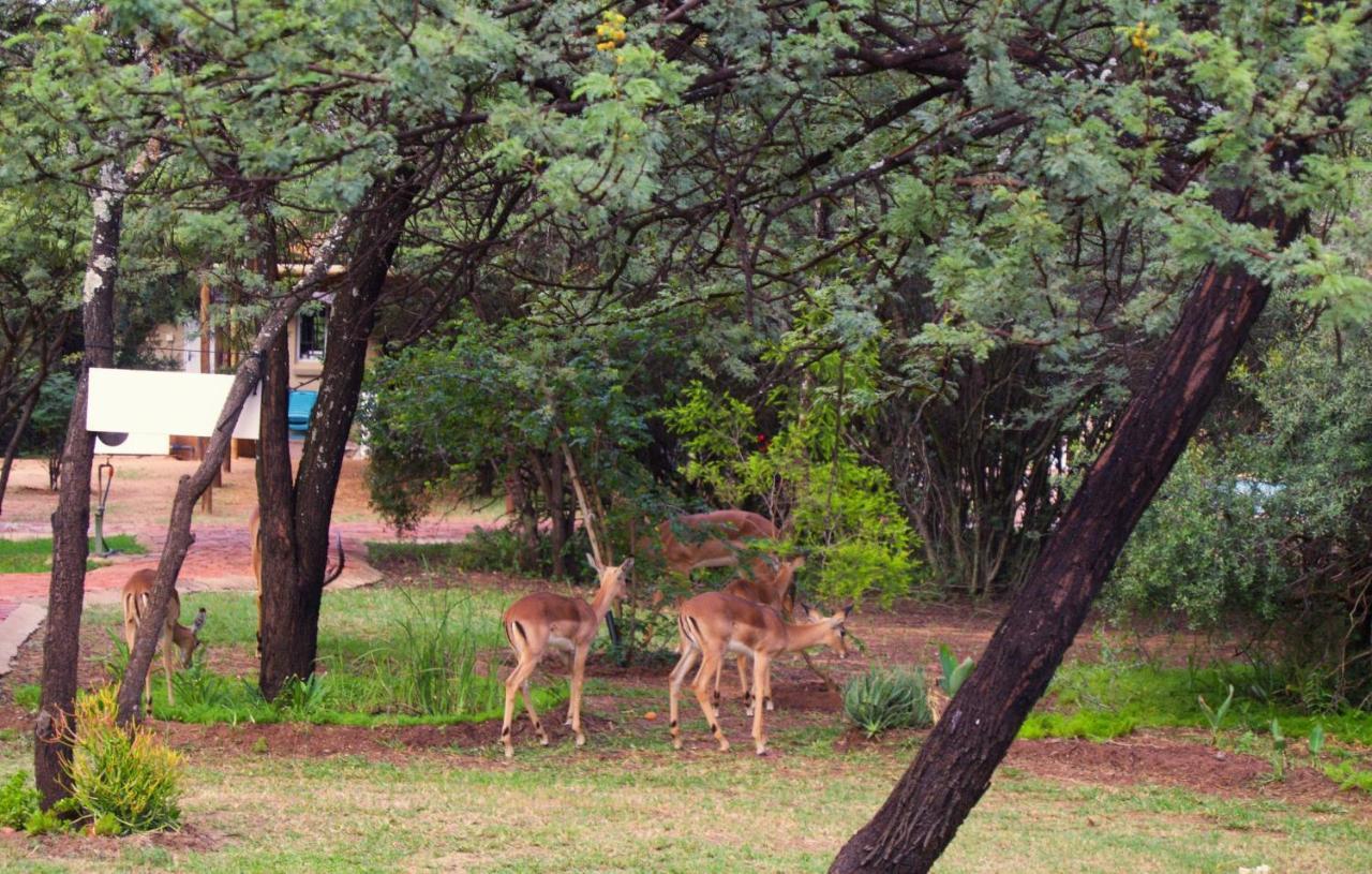 Suzie'S Loft - Nude - Suneden Family Naturist Resort Претория Экстерьер фото
